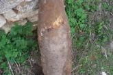 În Ustia a fost găsit un obuz din anii 1941 - 1945