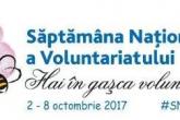 Săptămâna Națională a Voluntariatului (SNV) 2017 “Hai în gaşca voluntarilor!”, ediția a XI-a
