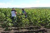Ministerul agriculturii și industriei alimentare al Republicii Moldova atenționează