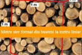 Consiliul raional Dubăsari anunță comercializarea masei lemnoase