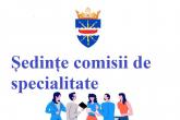 Orarul ședințelor Comisiilor de specialitate ale Consiliului raional Dubăsari