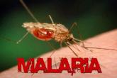 Ziua Mondiala a Malariei – 25 aprilie 2017 cu genericul: “Stopăm malaria pentru totdeauna”