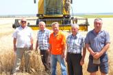 Campania de recoltarea a spicoaselor în raionul Dubăsari a luat start acum cîteva zile