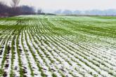 Lucrările de toamnă – semănatul și arătura de zăble 2020