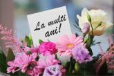 Mesaj de felicitare al președintelui raionului Dubăsari dl Grigore FILIPOV pentru omagiații săptămânii curente!