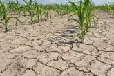 Asigurarea riscurilor – o soluție de a reduce impactul negativ asupra agriculturii