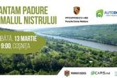 În satul Coșnița, pe malul rîului Nistru va avea loc o acțiune de plantare a copacilor