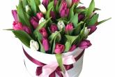 Mesaj de felicitare cu ocazia zilei de naștere pentru dna Violeta TOLSTENCO, șef, Secția politici educaționale, Direcția învățământ general Dubăsari!