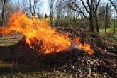 Arderea resturilor vegetale duce la apariția diferitor afecțiuni și boli respiratorii