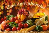 Mesaj de felicitare al președintelui raionului cu ocazia Zilei Agricultorului!