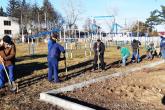 Plantăm copaci pentru un viitor ecologic curat
