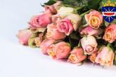 Felicitări cu ocazia aniversării dnei Maria PERCIULEAC