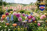 Mesaj de felicitare cu prilejul aniversării zilei de naștere
