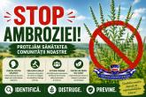 Campanie de sensibilizare și combatere a ambroziei &icirc;n raionul Dubăsari