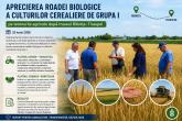 Aprecierea roadei biologice a culturilor cerealiere de grupa I pe terenurile agricole situate după traseul R&icirc;bnița&ndash;Tiraspol