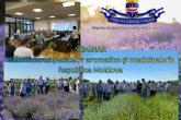 Colaboratorii Secției Agricultură și Cadastru au participat la un seminar dedicat valorificării plantelor aromatice și medicinale